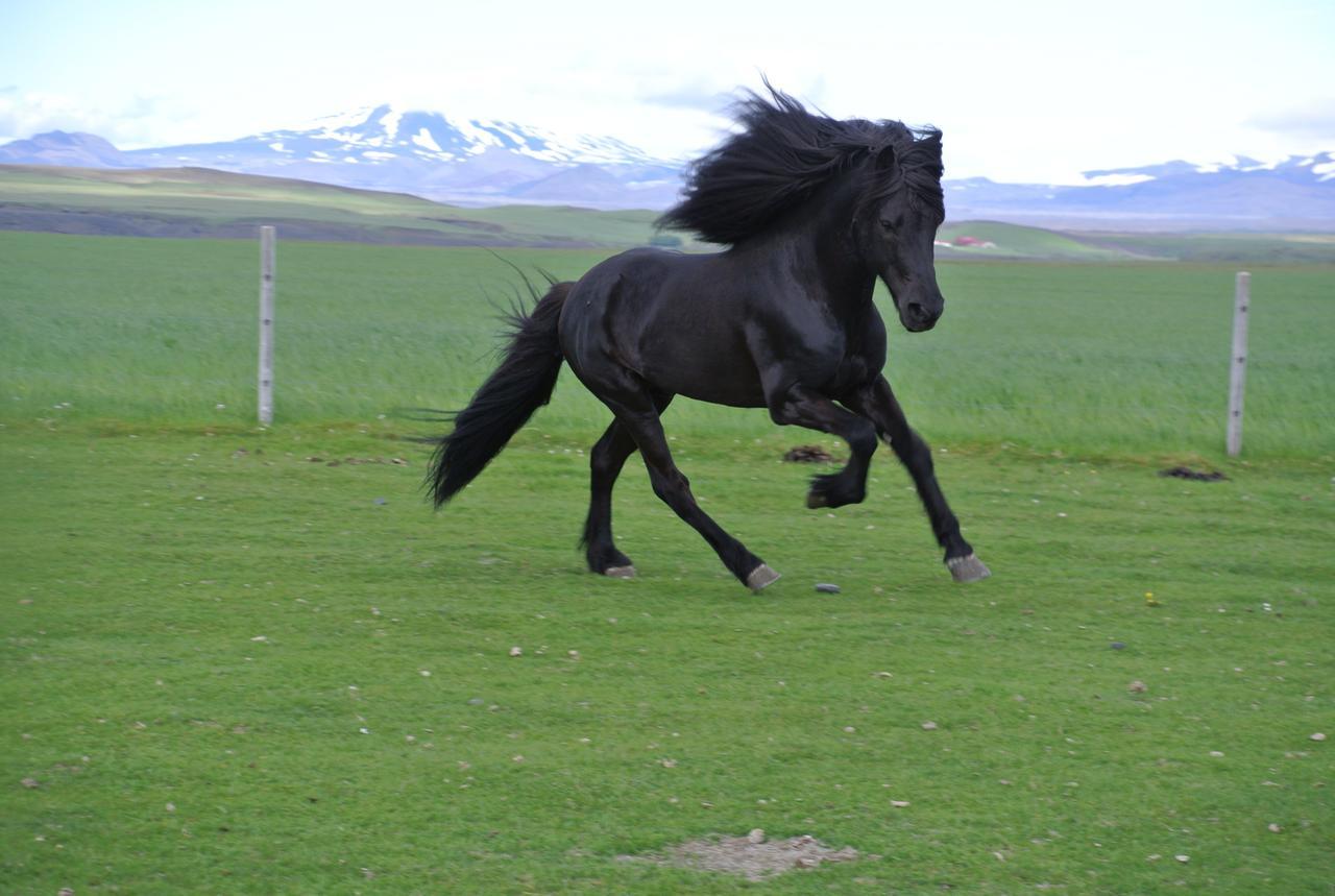 Hekla Adventures Villa Hvolsvöllur Buitenkant foto