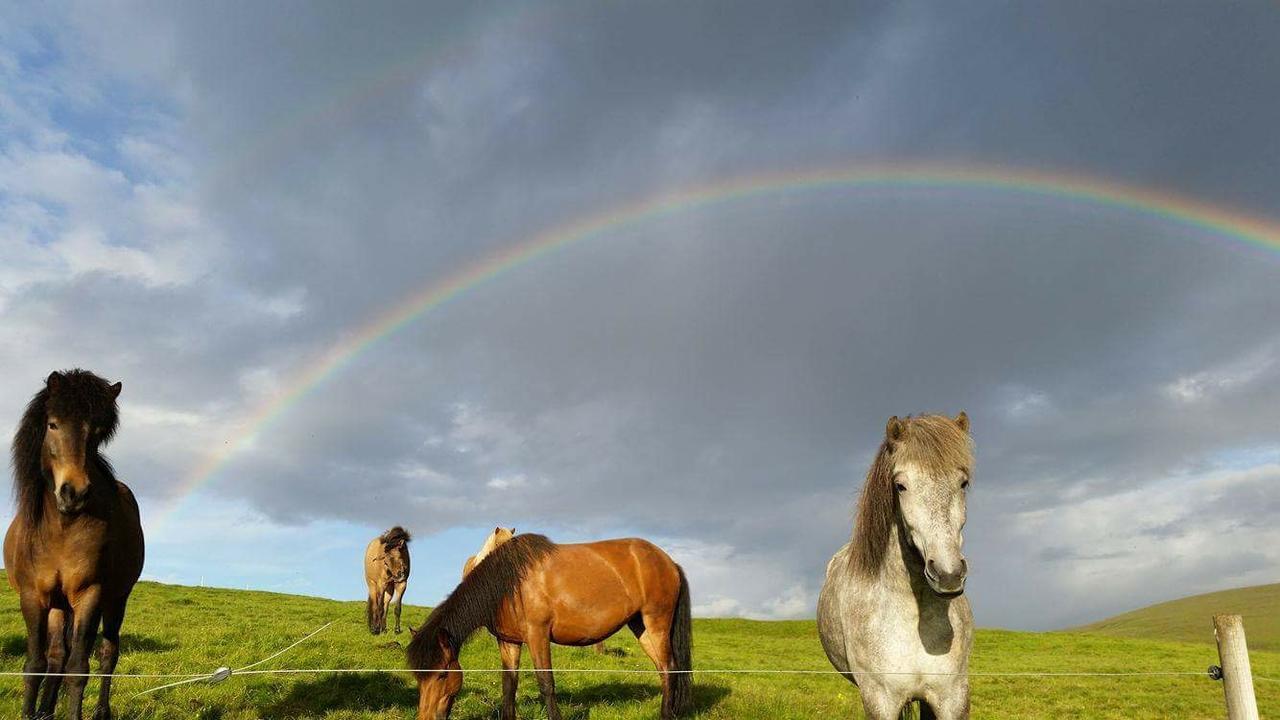 Hekla Adventures Villa Hvolsvöllur Buitenkant foto